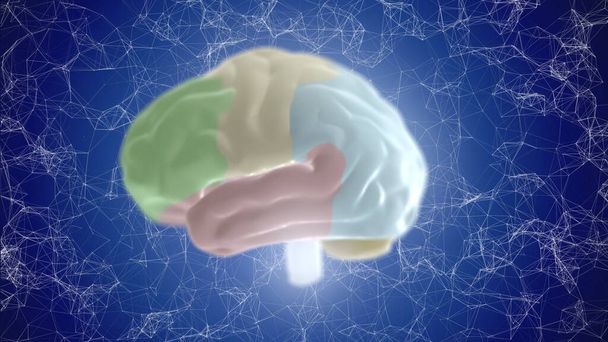 3D ilustracja cyfrowego rentgena ludzkiego mózgu na niebieskim tle. - Zdjęcie, obraz