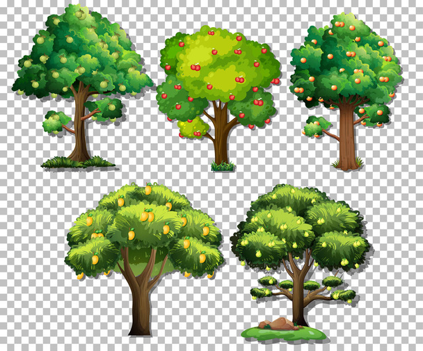 Saydam arkaplan illüstrasyonunda farklı ağaçlar kümesi - Vektör, Görsel