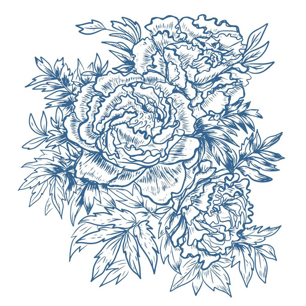 Півонії квіти графіка гравірування рука намальовані ілюстрації векторний принт текстиль старовинна рослинність природа
 - Вектор, зображення
