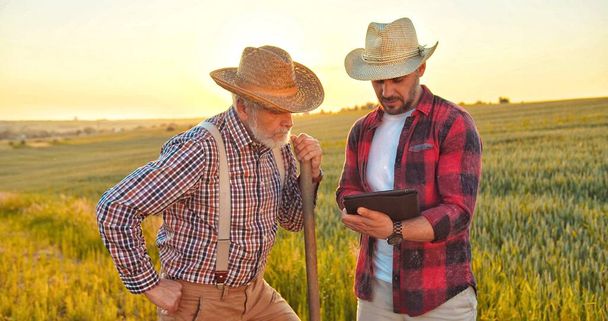 Agriculture technology of quality control. Two confident farmers monitoring harvest growth progress via tablet. Data collection and analyzing by artificial intelligence. Future agro crops concept - Fotoğraf, Görsel