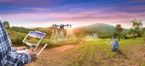 Panorama agriculture drone fly to sprayed fertilizer on rice fruit. smart farmer use drone for various fields like research analysis, terrain scanning technology, smart technology concept. - Fotografie, Obrázek