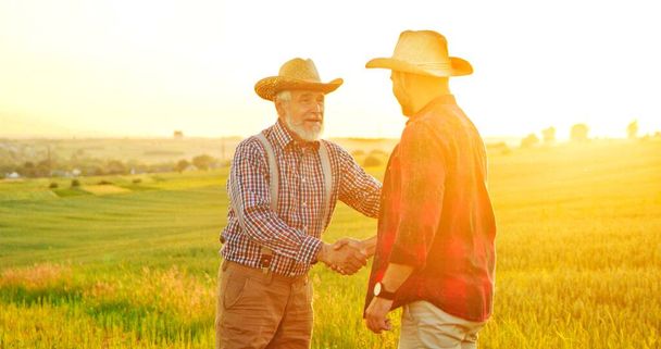 Handshake between the farmers at the field during the examining harvest. Two businessman farmer shake hands. Agree successful deal or hello. Background of agricultural field with growing ripening corn - 写真・画像