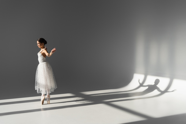 Side view of brunette ballerina dancing on grey background with shadow  - Photo, Image