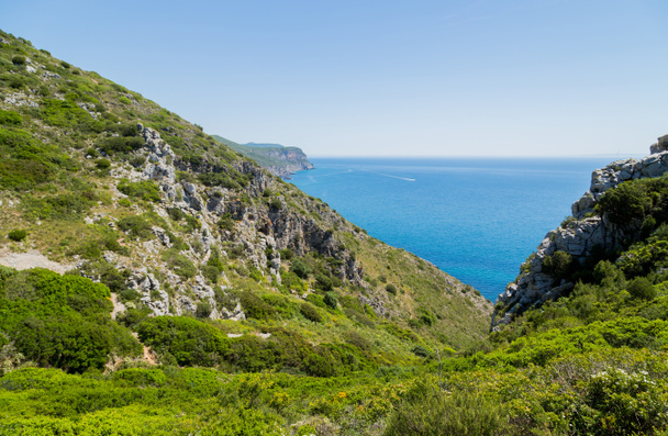 Coast of Arrabida Natural Park in Sesimbra, Portugal - Zdjęcie, obraz