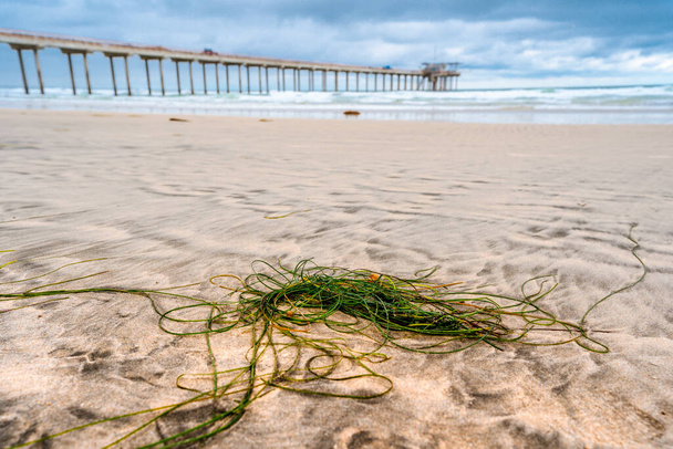 Ένα δραματικό τοπίο στον ωκεανό σε συννεφιασμένο καιρό, μια όμορφη προβλήτα στο La Jolla Καλιφόρνια. Ριγέ άμμος στην παραλία - Φωτογραφία, εικόνα