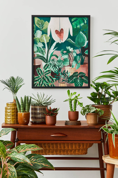Domestic interior of living room with vintage retro shelf, a lot of house plants, cacti, wooden mock up poster frame on the white wall and elegant accessories at stylish home garden. Template.  - Fotografie, Obrázek