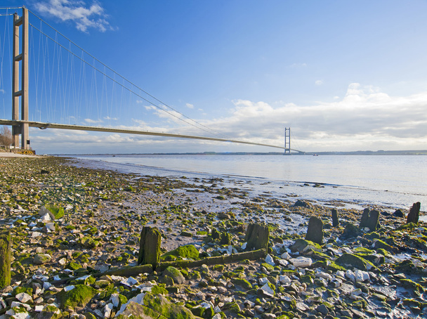 Большой подвесной мост, охватывающий широкую реку с каменистым пляжем на переднем плане
 - Фото, изображение