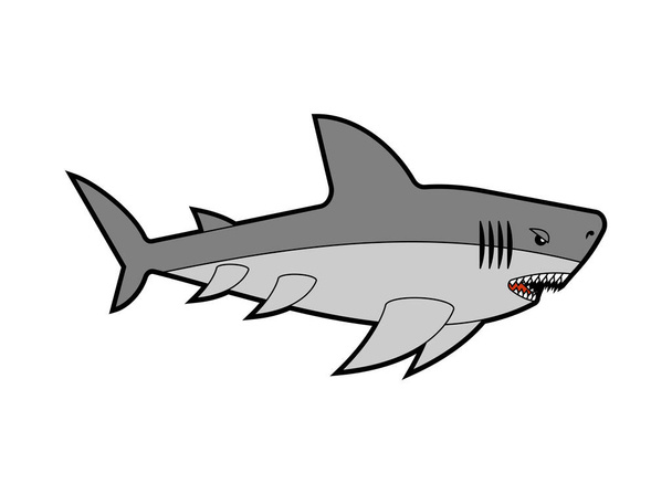 Shark isolated. Sea predator. Large predatory marine fish. vector illustration - Vektor, Bild