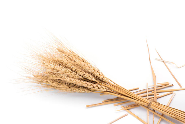 Довгі вуха пшениці ізольовані на білому тлі зверху
 - Фото, зображення
