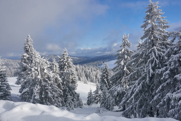 estrada de inverno na montanha Turbacz-Poland - Foto, Imagem