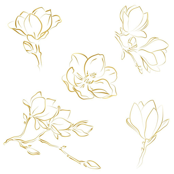 Esbozo elegante de flores de magnolia, ilustración vectorial - Vector, Imagen