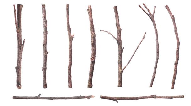 死んだ乾燥した小枝形の茶色の樹皮のセット白い背景に隔離された - 写真・画像