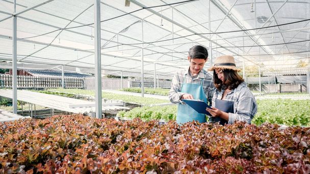 2農家は、水耕栽培の野菜有機サラダとレタスの品質を検査し、顧客に最高の製品を与えるためにクリップボードにメモを作成します。. - 写真・画像