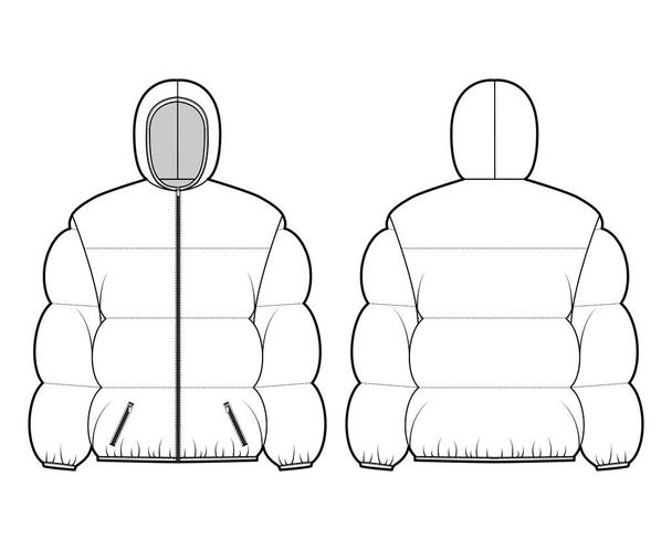 Hooded jacket Down puffer coat technical fashion illustration with long sleeves, pockets, hip length, wide quilting - Vector, Image