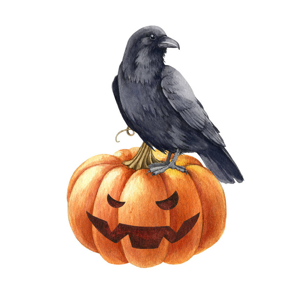Black raven bird on pumpkin. Watercolor halloween illustration. Halloween decorative element. Black crow on scary jack pumpkin head side view. Spooky funny autumn decor. White background - Photo, Image