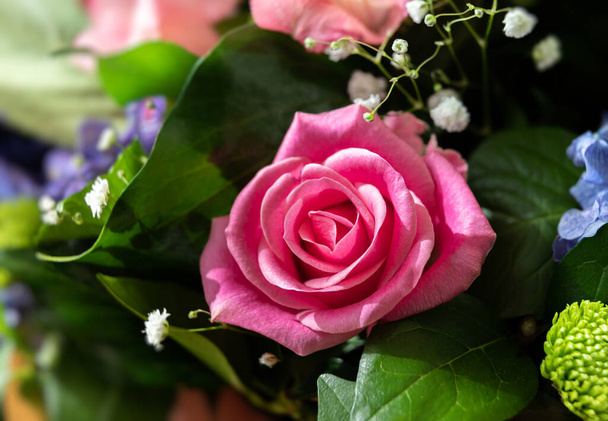 Fondo floral. Imagen de cerca de una rosa rosa en un ramo festivo - Foto, imagen