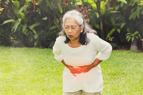 Starší asijská žena má gastrointestinální problémy, chůze, bolesti břicha, její žaludek je ohnutý, její ruka se dotýká břicha, bolest dělá ji nemůže chodit: Ženy v důchodu mají zdravotní problémy. - Fotografie, Obrázek
