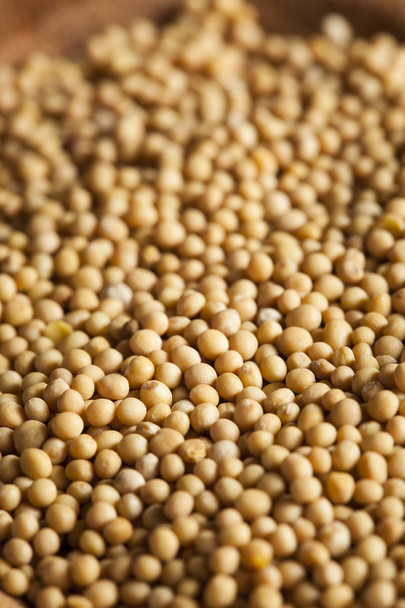 Raw Organic Mustard Seeds - Фото, изображение