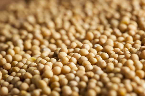 Raw Organic Mustard Seeds - Fotoğraf, Görsel