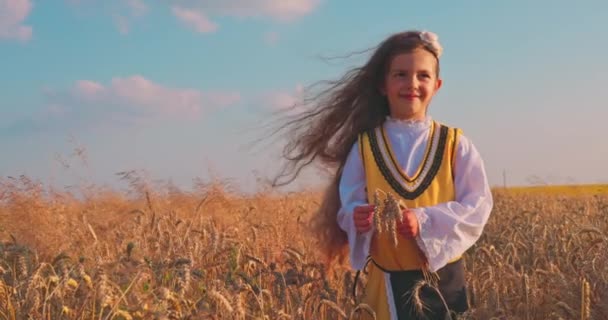 Χρυσός αγρός σιταριού και κοριτσάκι με βουλγαρική λαϊκή φορεσιά κατά τη διάρκεια της συγκομιδής και το ηλιοβασίλεμα - Πλάνα, βίντεο