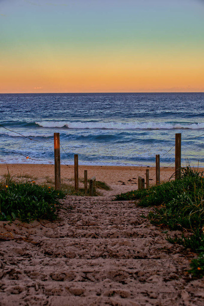 A vertical shot of a pathway leading towards the beach and the ocean - 写真・画像