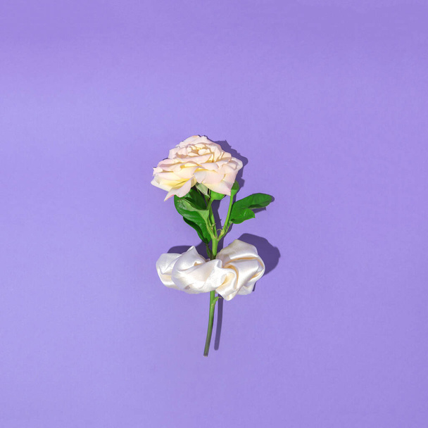Bílá růže s bílou moderní stuhou. Na fialovém pozadí. Minimální koncepce. - Fotografie, Obrázek