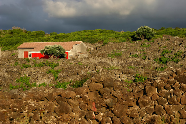 Azorit vanha maalaistalo Miguel saarella
 - Valokuva, kuva