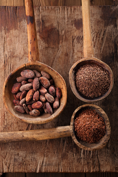 cocoa beans, hot chocolate flakes and grated dark chocolate in o - Photo, Image