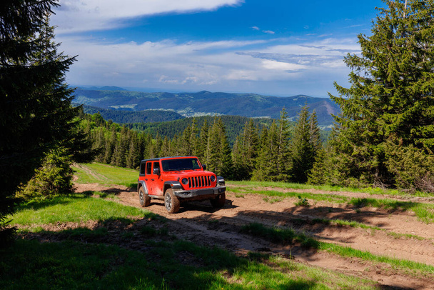 SUV jeep rosso cavalca lungo una strada sterrata sabbiosa sfocata tra abeti in montagna su uno sfondo di cielo blu e altre colline - Foto, immagini