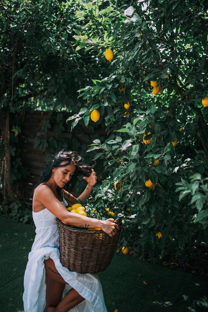 joven bonita mujer con cesta llena de limones - Foto, Imagen