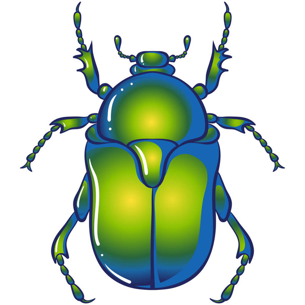 Insect chafer green beetle - Vector, Image