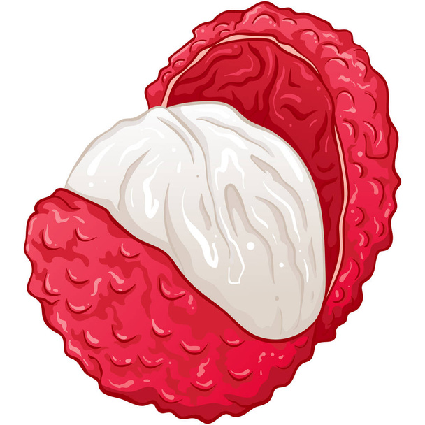 Lychee berry fruit - Vector, Image
