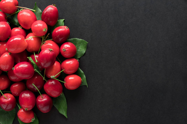 Small red wild apples in a bunch on black background with copy space for text. Autumn concept. Fall flat lay. - 写真・画像