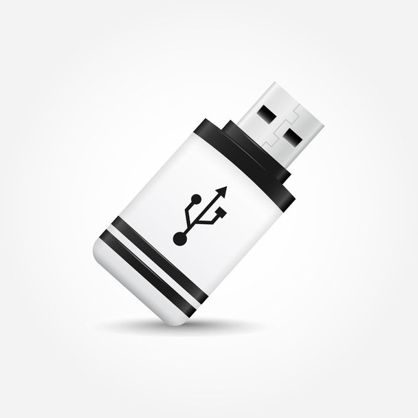 USB Flash Drive Icon - Vektor, kép