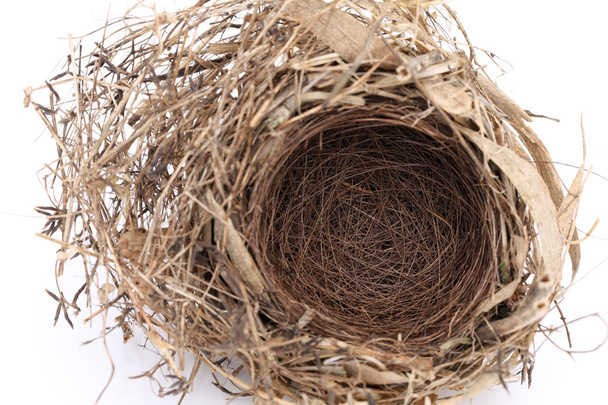 lege vogel nest - Foto, afbeelding