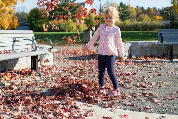 Дитина грає з листям восени під час теплих яскравих сонячних днів у громадському місцевому парку
. - Фото, зображення