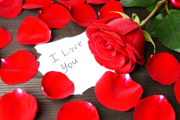 Beautiful petals of red roses - Foto, imagen