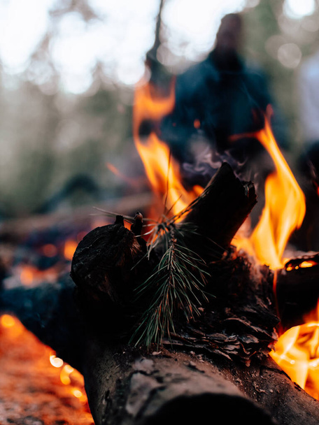 Bonfire in the forest - Fotoğraf, Görsel