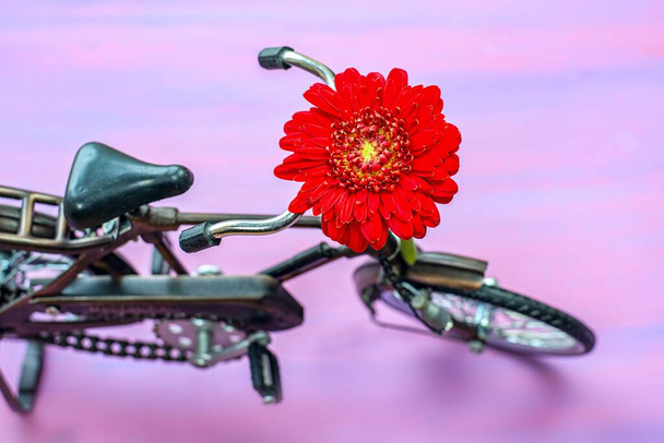 virágos háttér és kerékpár, piros Gerber - Fotó, kép
