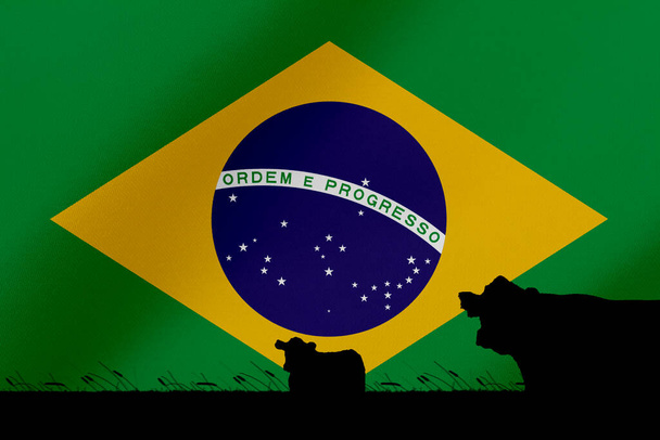 Κατανάλωση και παραγωγή βοοειδών σε χώρες με σημαία Βραζιλίας. - Φωτογραφία, εικόνα