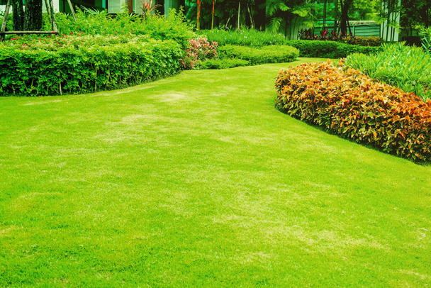 Grüner Rasen, Vorderer Rasen für Hintergrund, Gartengestaltung, Schöne schattige Landschaft, Garten mit frisch gemähtem Rasen - Foto, Bild