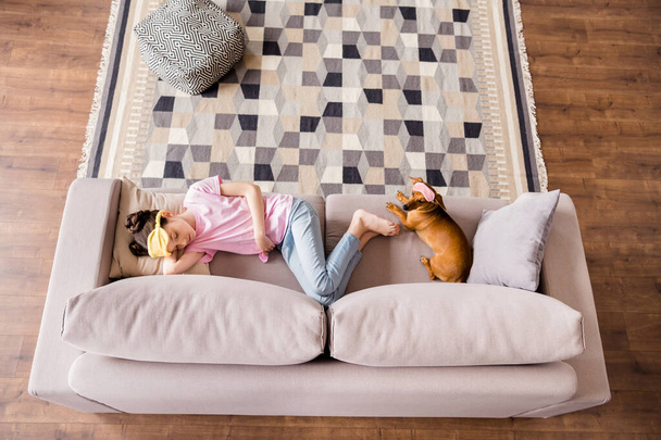 Top above high angle view portrait of attractive dreamy girl lying on divan with puppy resting at home house flat indoors - Fotoğraf, Görsel