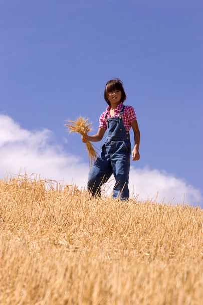 Uma jovem procura por restos de trigo num campo colhido.
. - Foto, Imagem