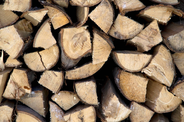 Закрыть вид на свежесрезанные дрова - Фото, изображение