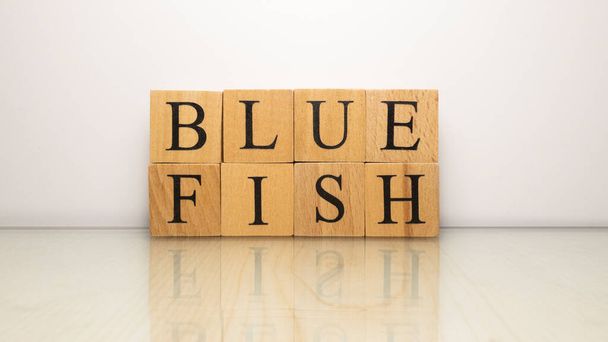 Der Name "Blauer Fisch" entstand aus hölzernen Buchstabenwürfeln. Meeresfrüchte und Lebensmittel. Nahaufnahme. - Foto, Bild