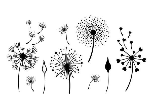 Dandelion black and white clipart bundle, elegant summer wild flowers set, botanical floral isolated elements, meadow flowers vector illustration - Vektör, Görsel