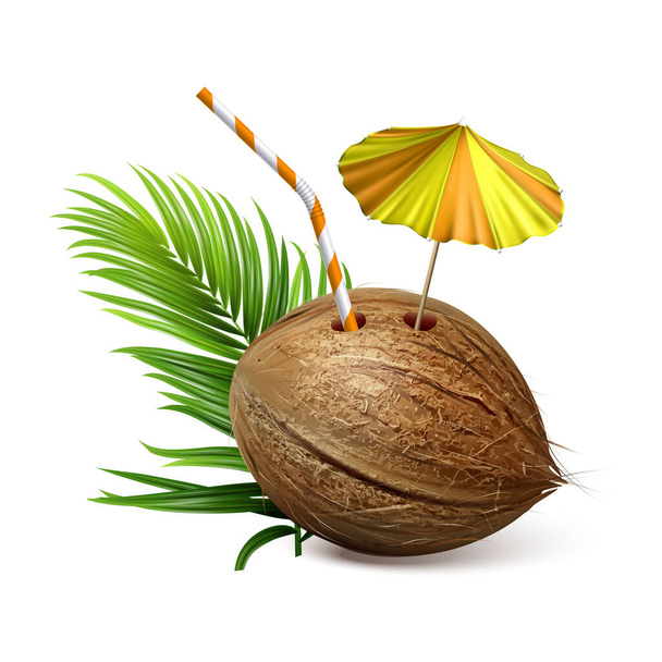 Coconut Tropical Natural Drink And Branch Vector - Vector, Image