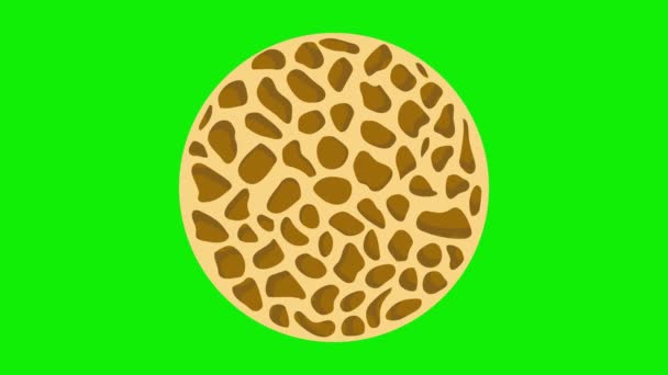 Animation of bone spongy structure, normal and with osteoporosis - Footage, Video