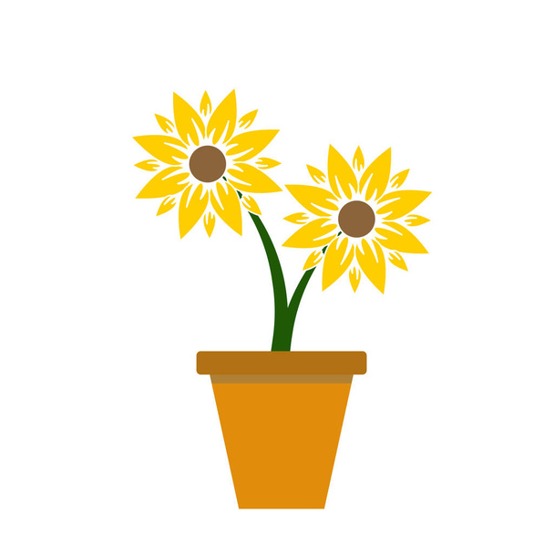 Sunflower in flat style isolated illustration - Photo, Image