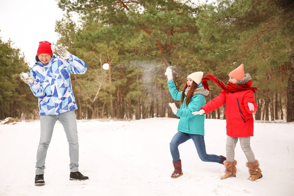 Glückliche Familie spielt am Wintertag Schneebälle im Park - Foto, Bild